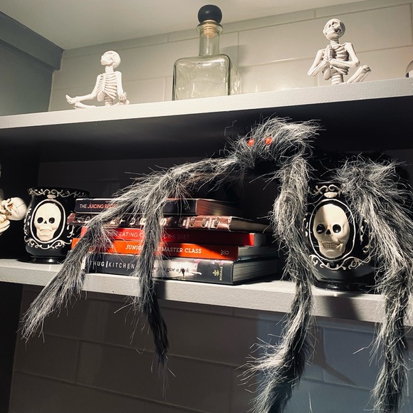 Other - Fuzzy Halloween Spider Decor 30 Inch